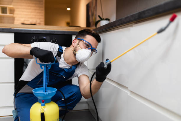  Suitland, MD Pest Control Pros