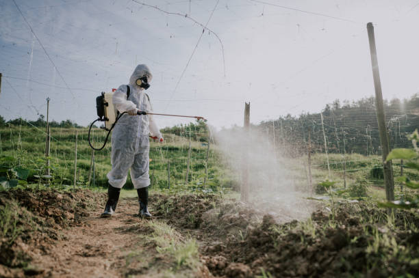 Best Commercial Pest Control Services  in Suitland, MD
