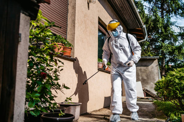 Best Emergency Pest Control  in Suitland, MD