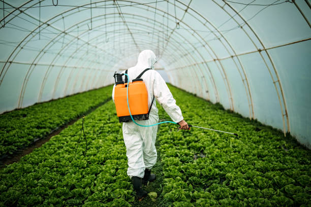 Best Pest Inspection Near Me  in Suitland, MD