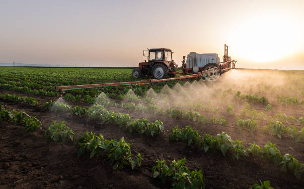 Best Commercial Pest Control Services  in Suitland, MD