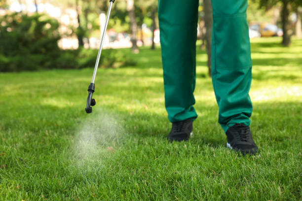 Best Pest Removal Services  in Suitland, MD