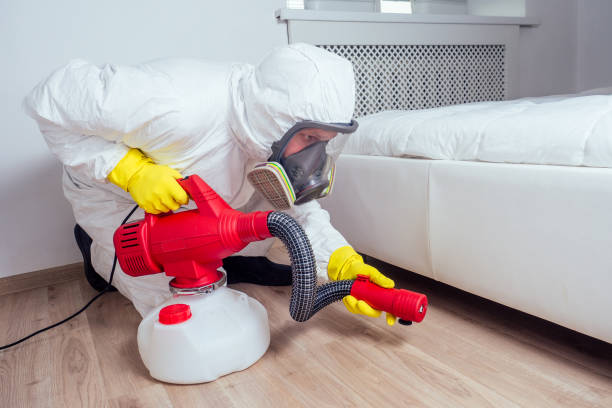 Best Residential Pest Control  in Suitland, MD
