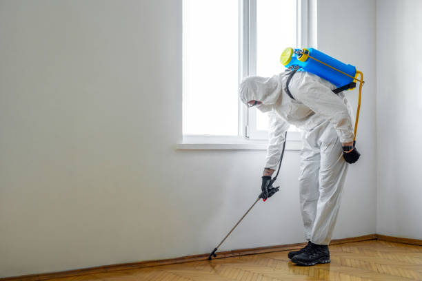 Best Residential Pest Control  in Suitland, MD