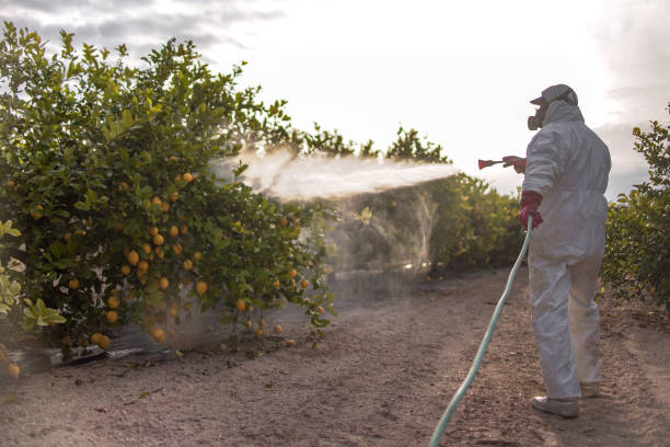 Best Pest Prevention Services  in Suitland, MD