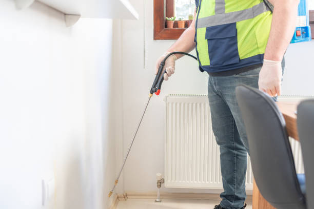 Best Affordable Pest Control Services  in Suitland, MD