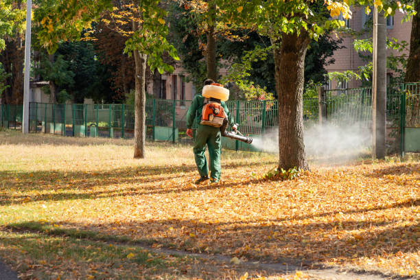Best Local Pest Control Services  in Suitland, MD