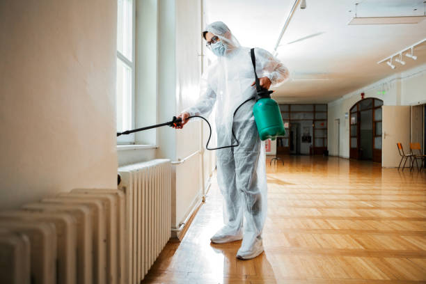 Best Flea Control Services  in Suitland, MD