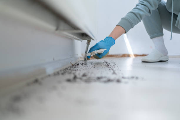 Best Best Pest Control Companies  in Suitland, MD